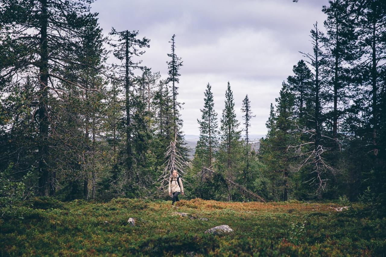 Lapland Hotels Riekonlinna Saariselka Bagian luar foto